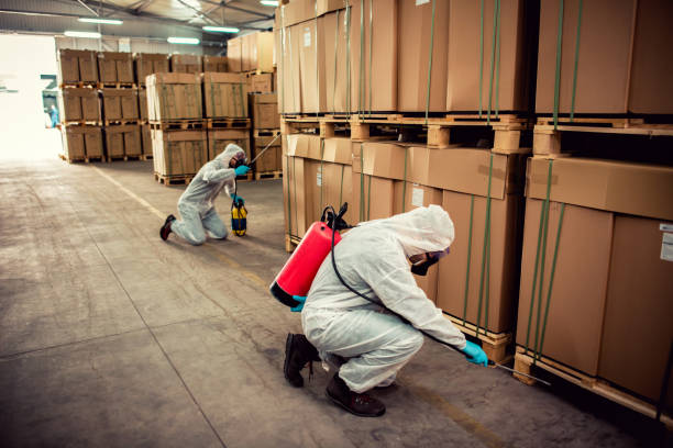 Best Pest Removal Services  in Long Neck, DE