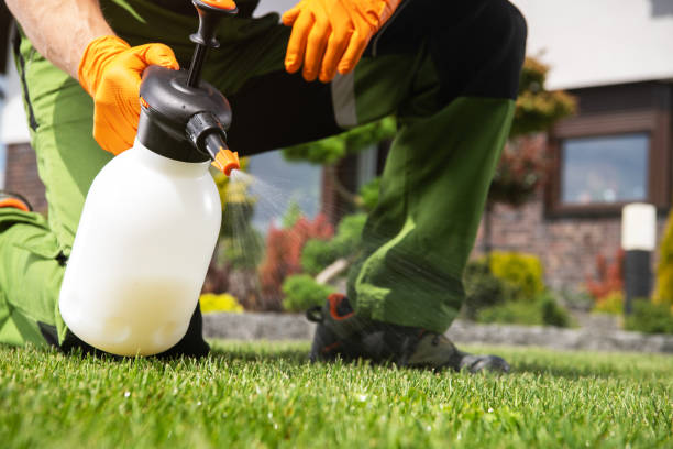 Best Termite Control Services  in Long Neck, DE