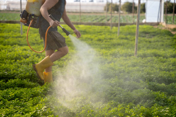 Best Residential Pest Control  in Long Neck, DE