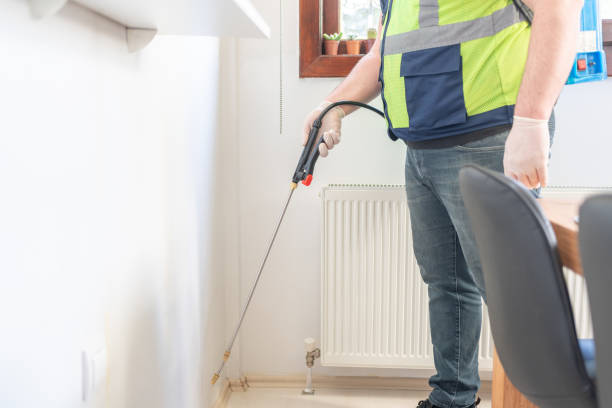 Wasp Removal Services in Long Neck, DE