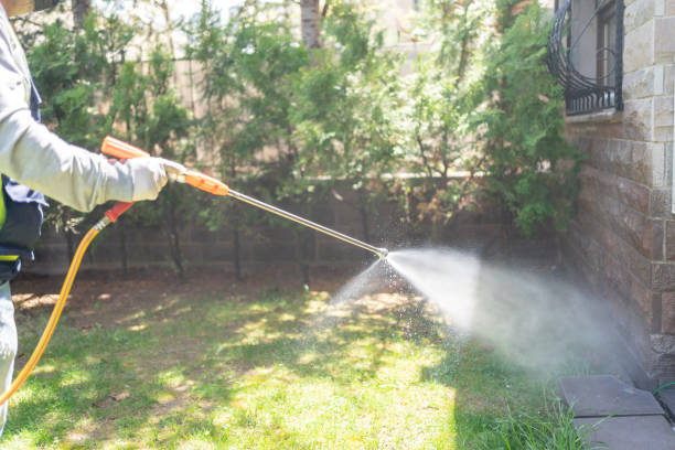 Flea Control Services in Long Neck, DE