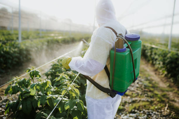Pest Prevention Services in Long Neck, DE
